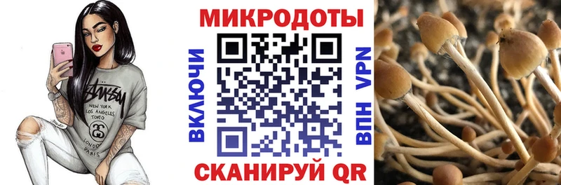 Галлюциногенные грибы ЛСД  Никольск 